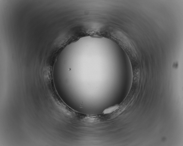 X0000097980280200803241306