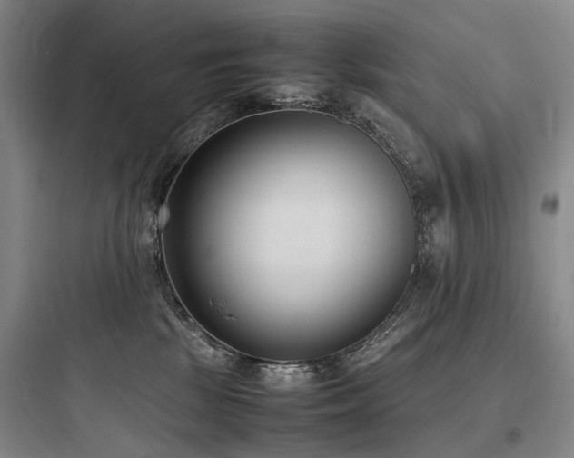 X0000097980281200803241306