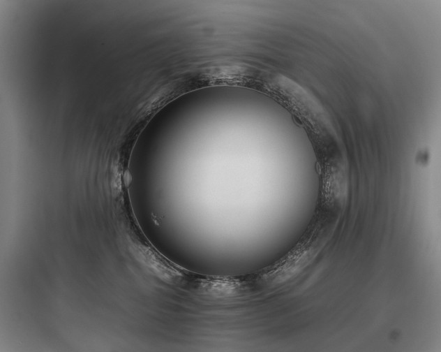 X0000097980282200803241306