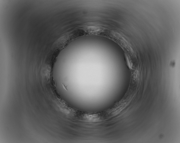 X0000097980283200803241306