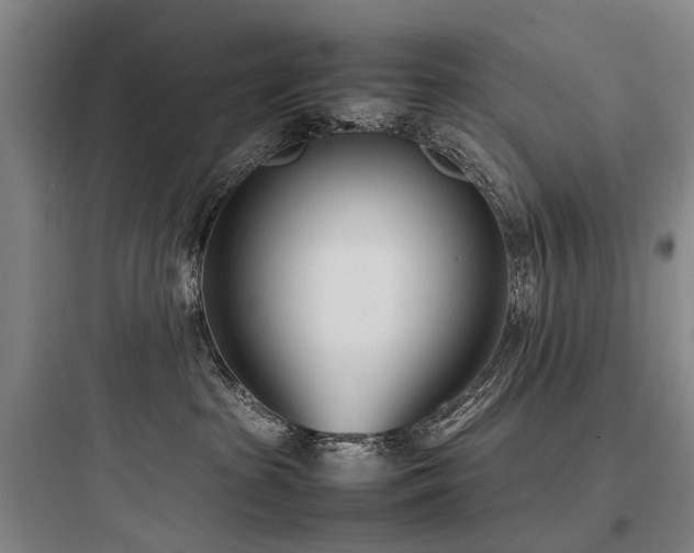 X0000097980285200803241307