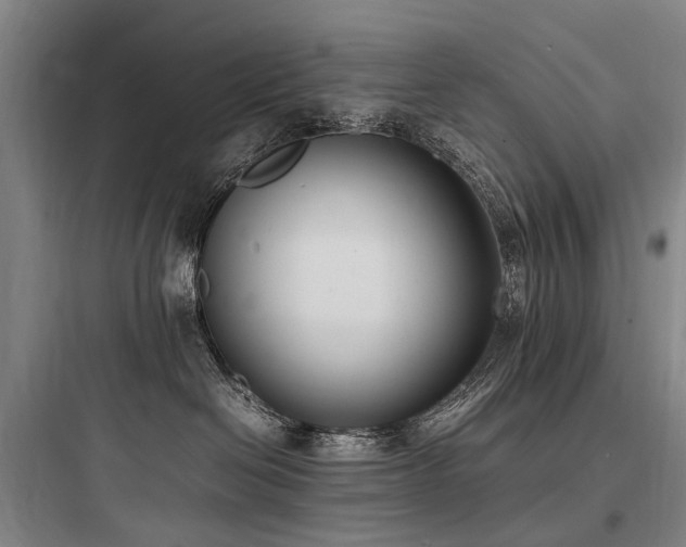 X0000097980286200803241307