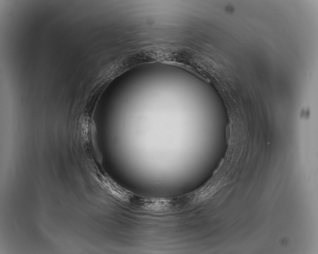 X0000097980288200803241307