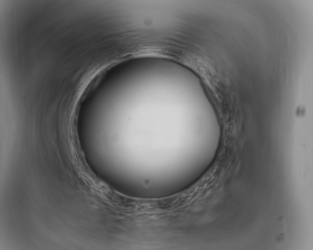 X0000097980289200803241306
