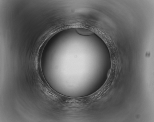 X0000097980290200803241306