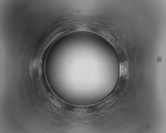 X0000097980291200803241306