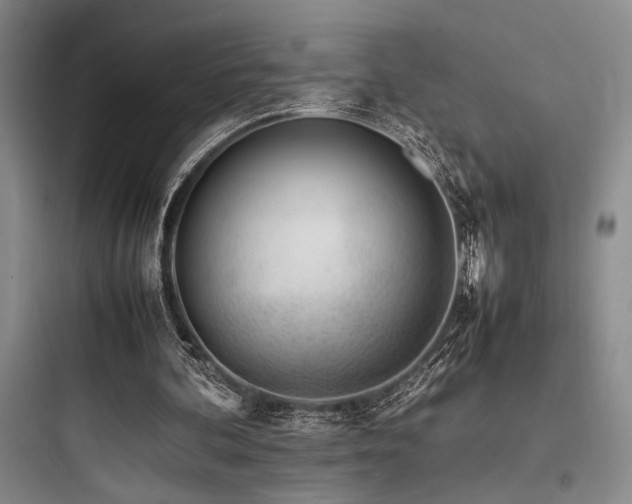 X0000097980292200803241306
