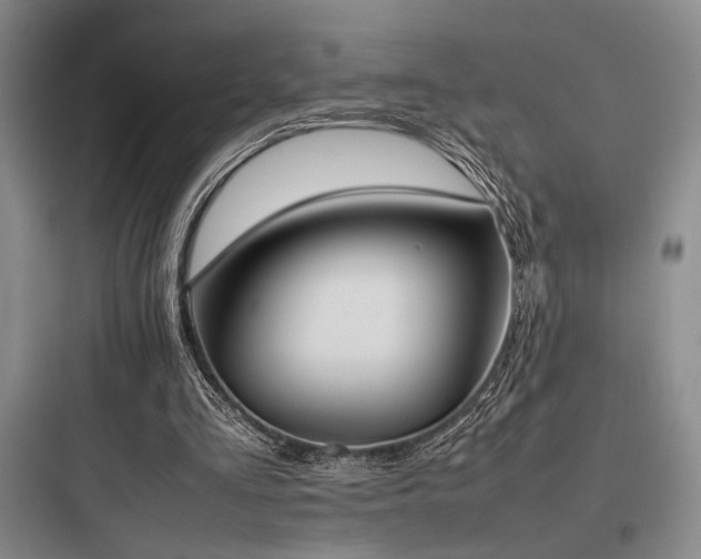 X0000097980293200803241306