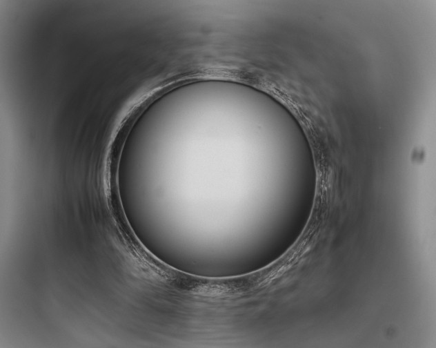 X0000097980294200803241306