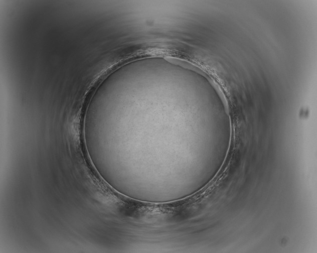 X0000097980297200803241306