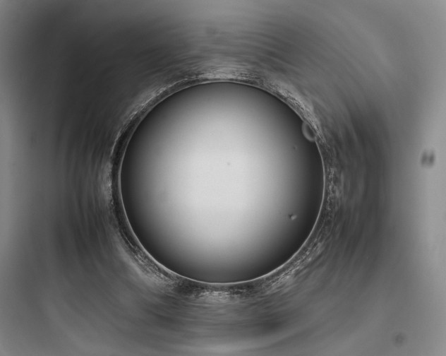 X0000097980298200803241306