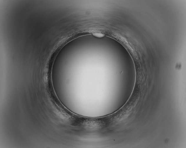 X0000097980299200803241306