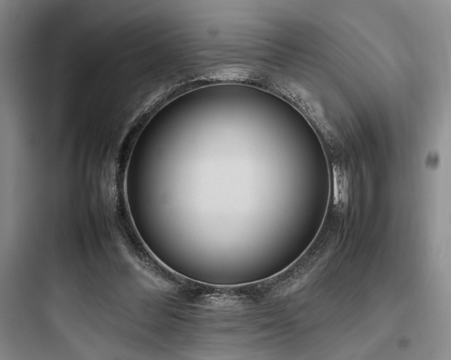 X0000097980300200803241306