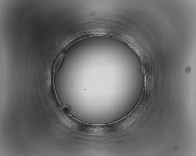 X0000097980301200803241306