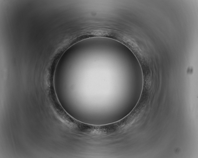 X0000097980303200803241306