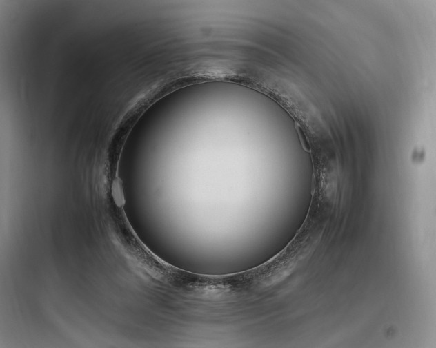 X0000097980304200803241306