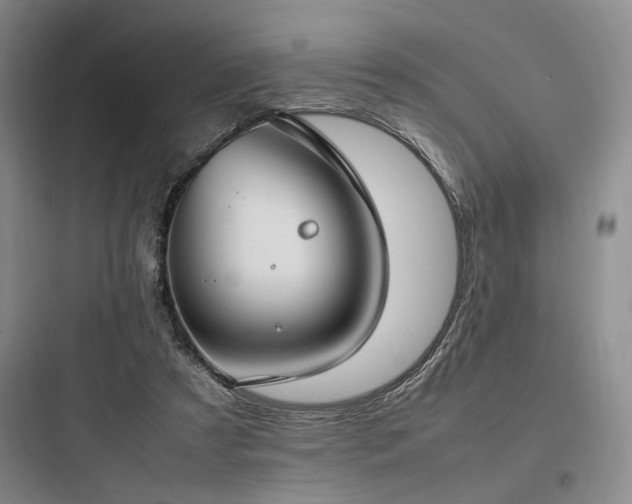 X0000097980305200803241306