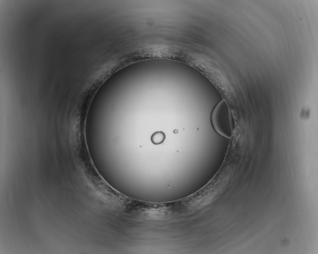 X0000097980306200803241306