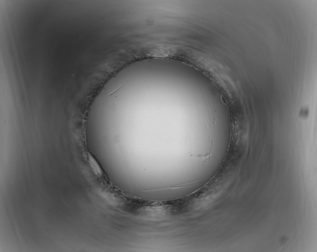 X0000097980307200803241306