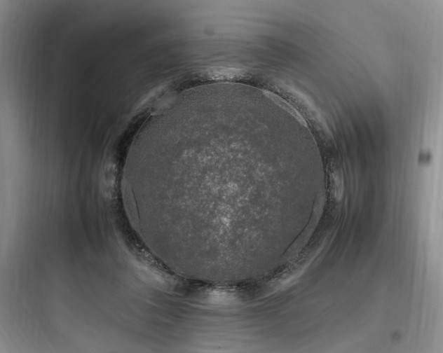 X0000097980308200803241306