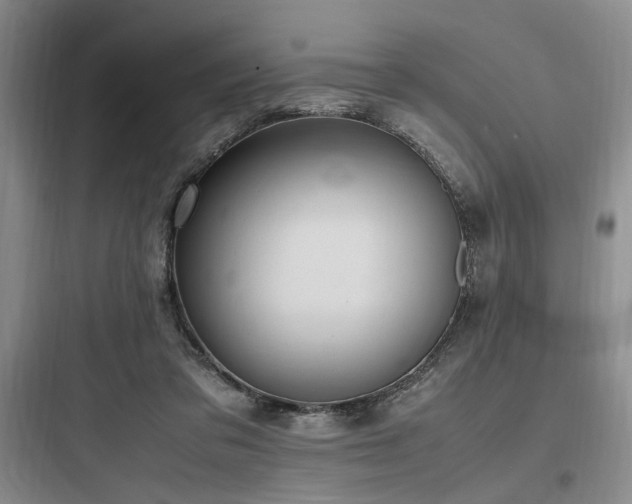X0000097980309200803241306