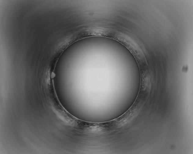 X0000097980310200803241306