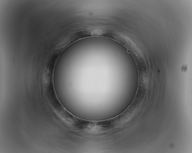 X0000097980311200803241306