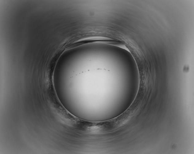X0000097980312200803241306
