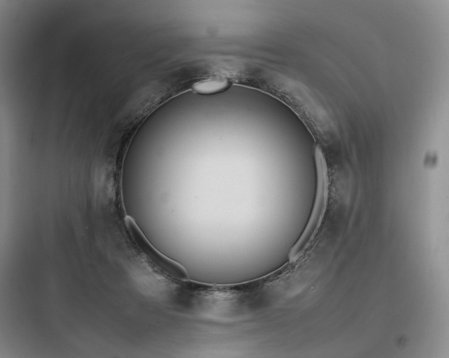 X0000097980313200803241306