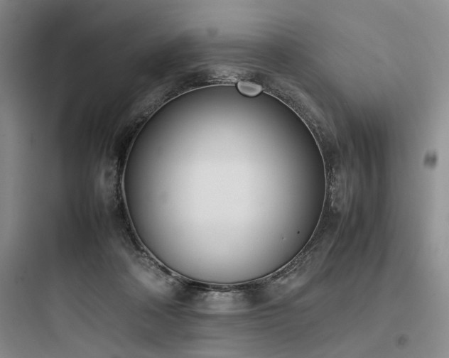 X0000097980314200803241306