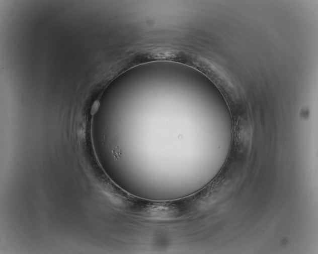 X0000097980315200803241306