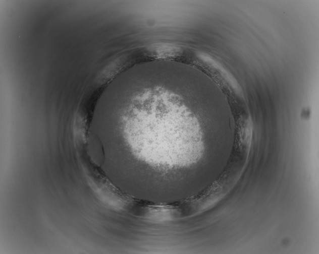 X0000097980316200803241306