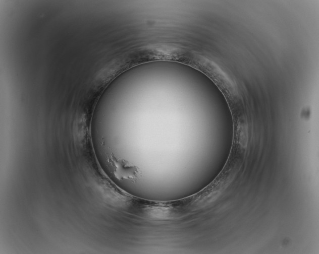 X0000097980318200803241305