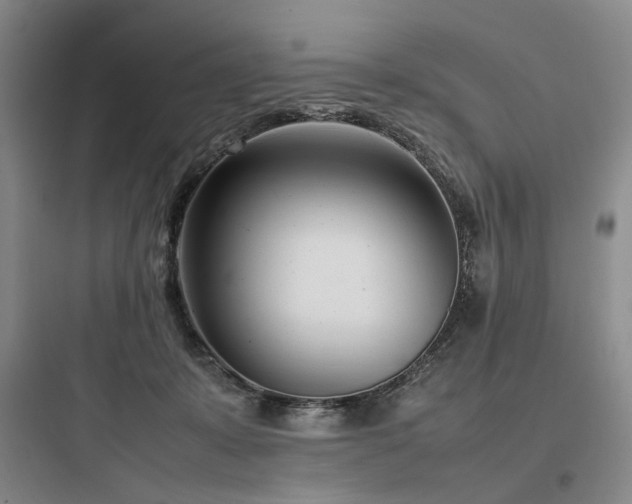 X0000097980319200803241305