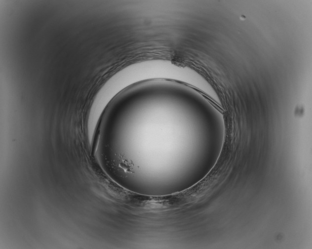 X0000097980320200803241305