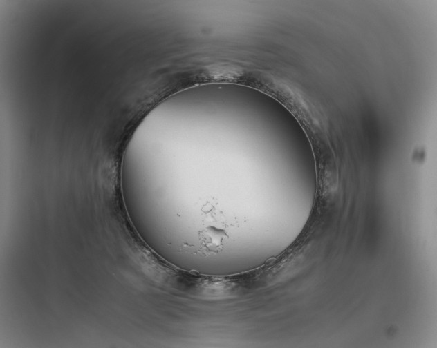 X0000097980321200803241305