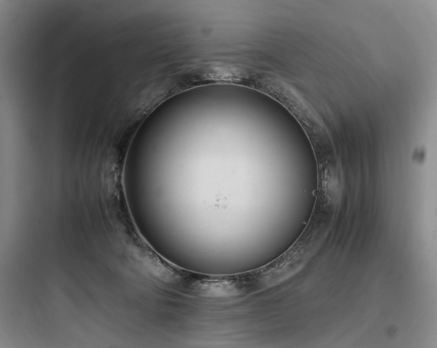 X0000097980322200803241305