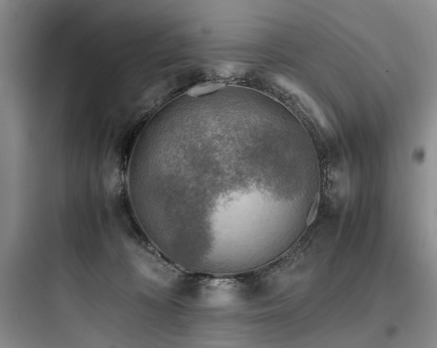 X0000097980324200803241305