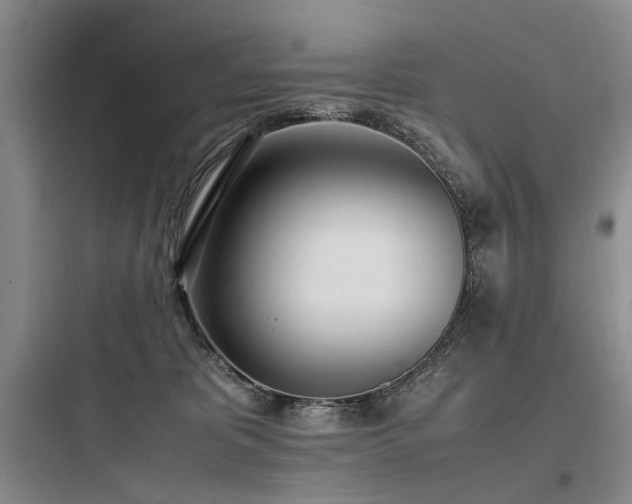X0000097980325200803241305