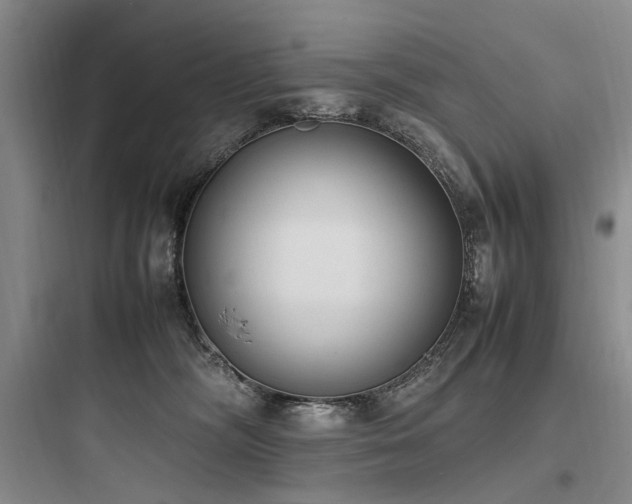 X0000097980326200803241305