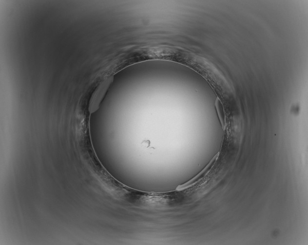 X0000097980327200803241305