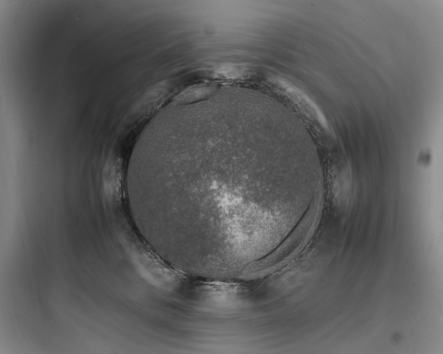 X0000097980328200803241305