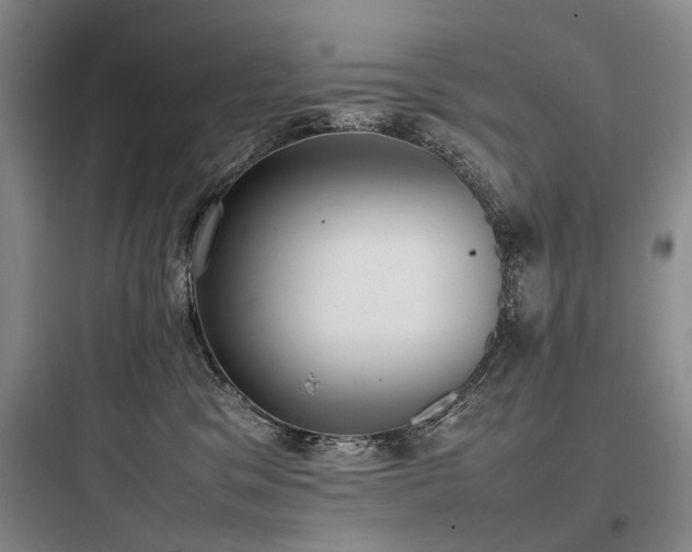 X0000097980329200803241305