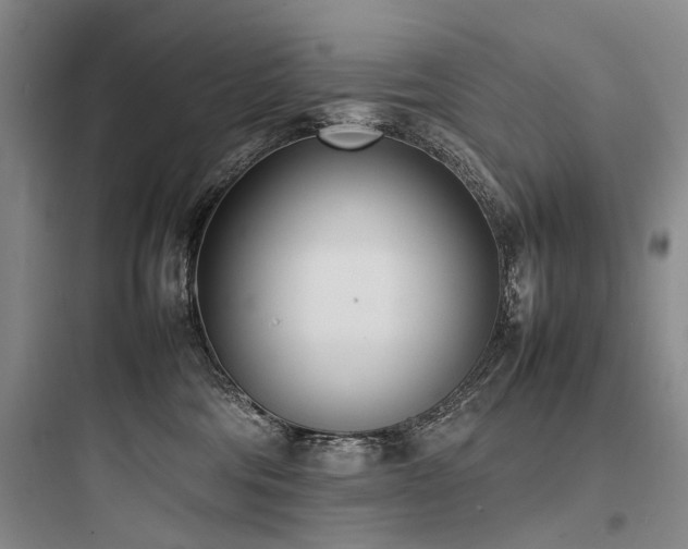 X0000097980330200803241305