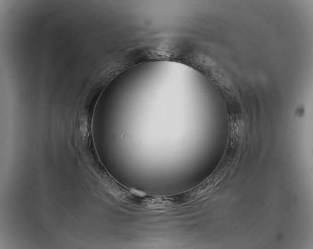 X0000097980331200803241305