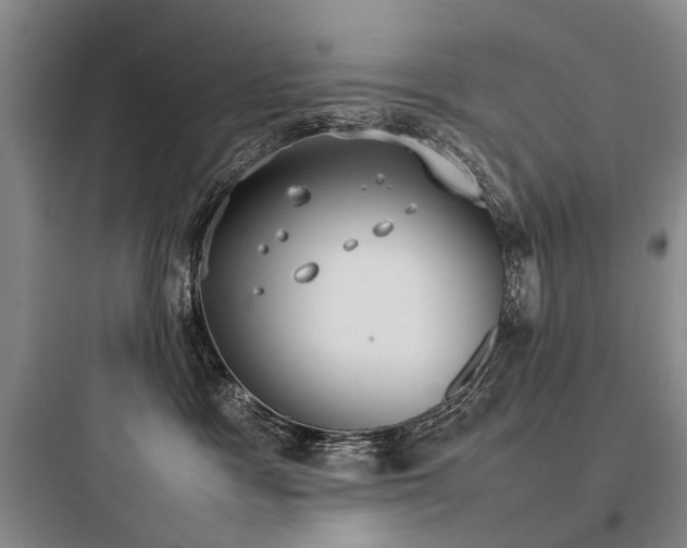X0000097980333200803241305