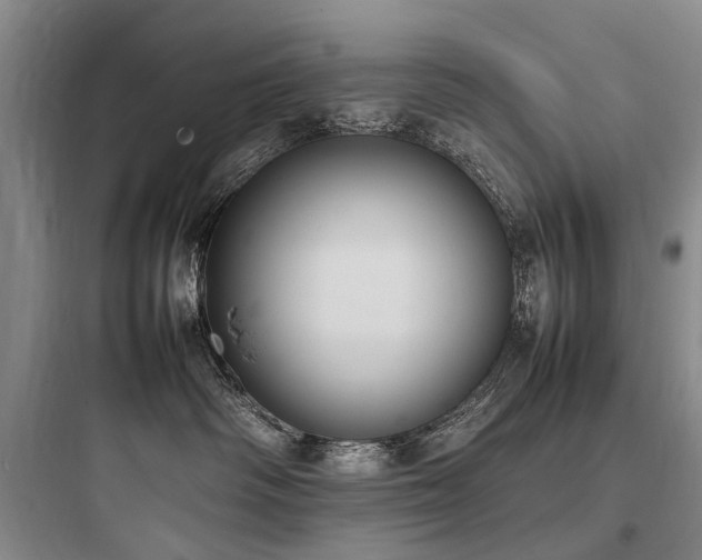 X0000097980334200803241305