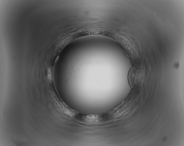 X0000097980335200803241305
