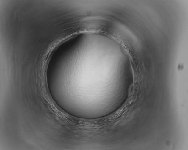 X0000097980337200803241304