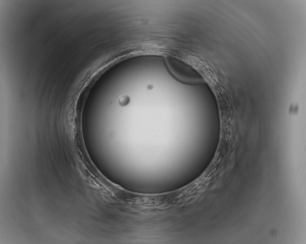 X0000097980338200803241304